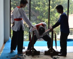 Merpati Putih